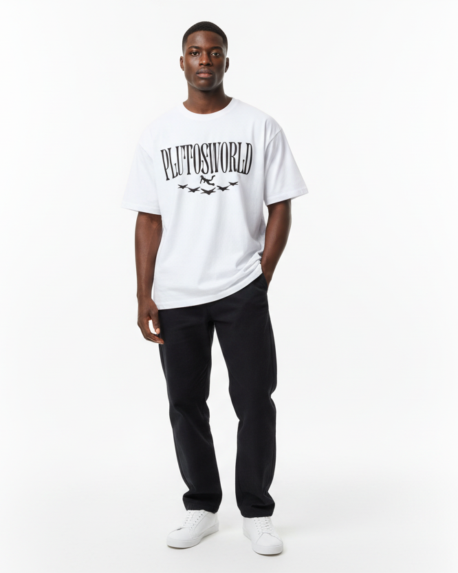 PlutosWorld B Business Tee-Shirt